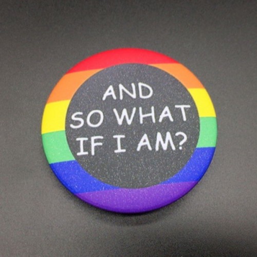 Pride What If I Am Round Pin