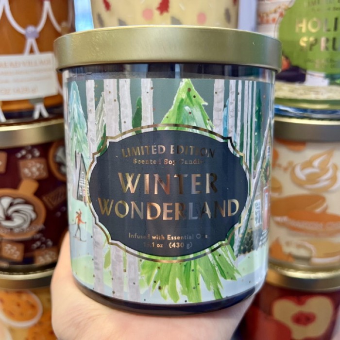 OH Tumbler Candle Winter Wonderland (Large)