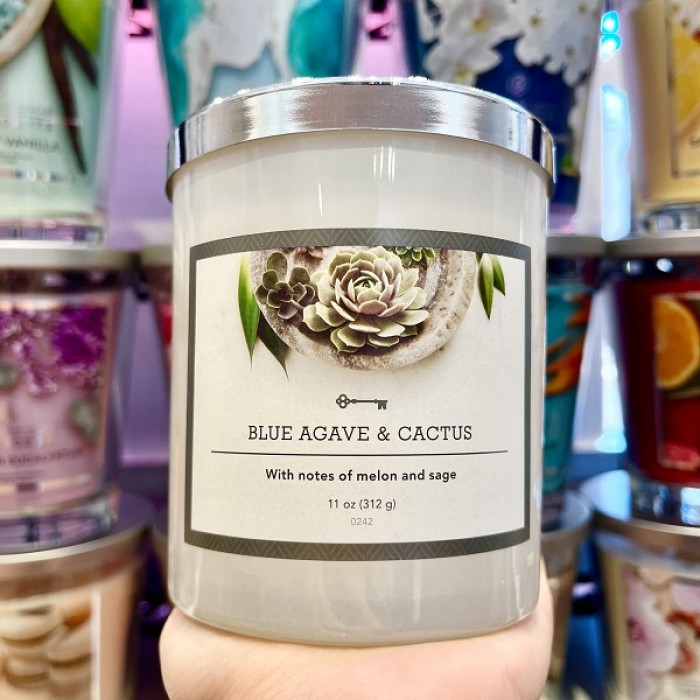 TH Tumbler Candle Blue Agave Cactus