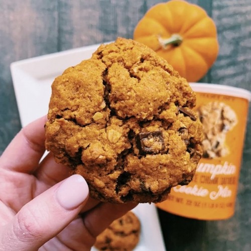 Trader Joe's Cookie Mix Pumpkin Chocolate Chunk Oatmeal