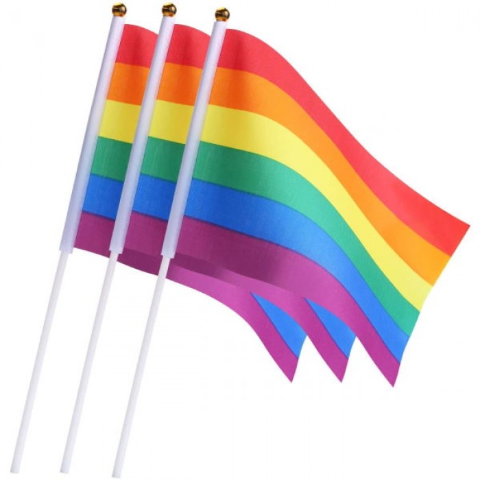 Pride Flag Rainbow Small (1 PC)